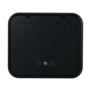RV Matte Surface Access/ Service Door 1